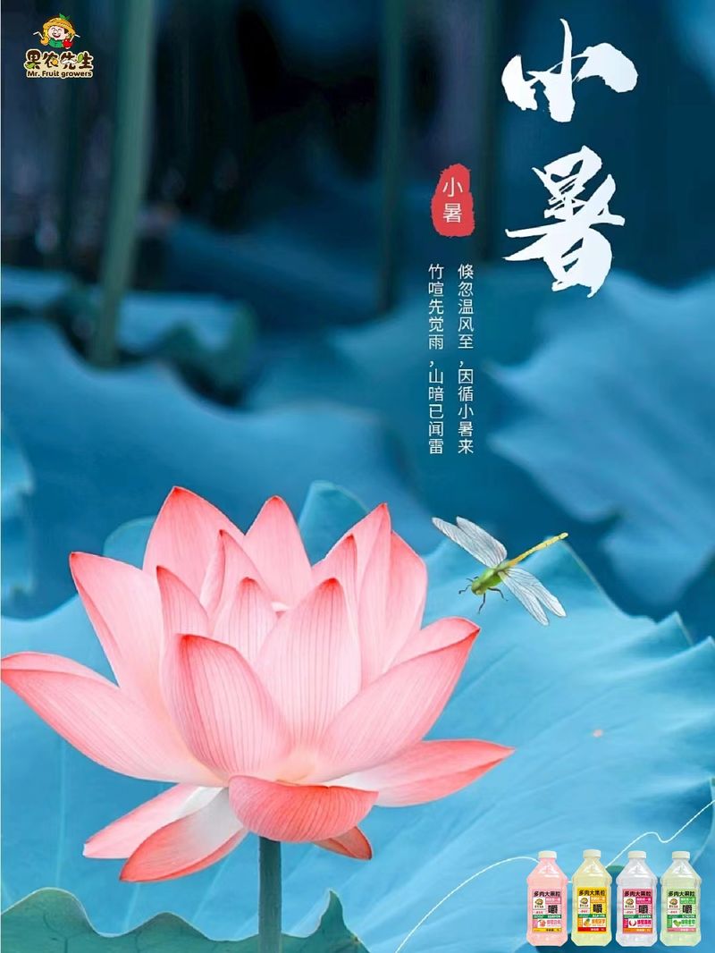 圖片3