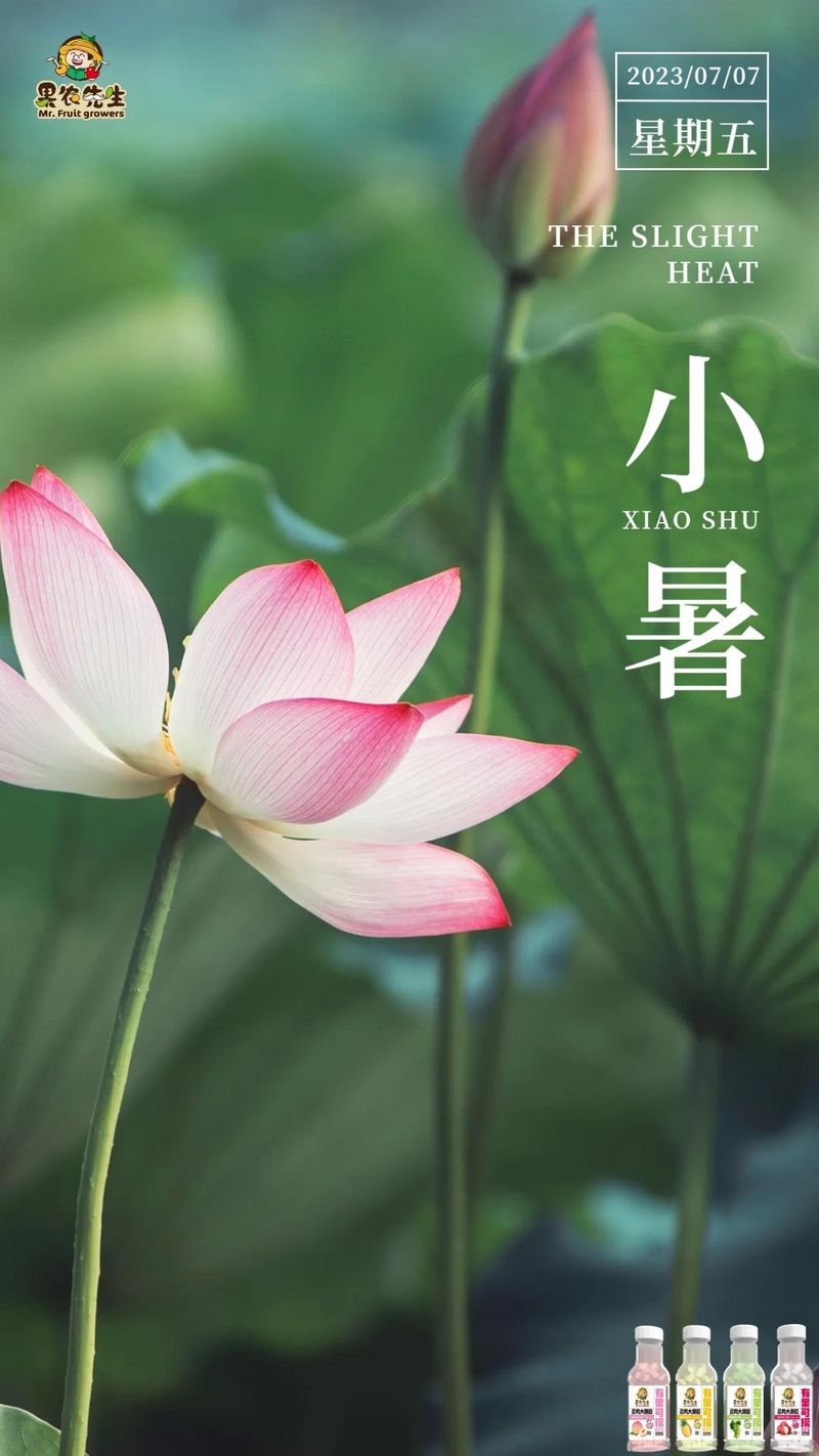 圖片2