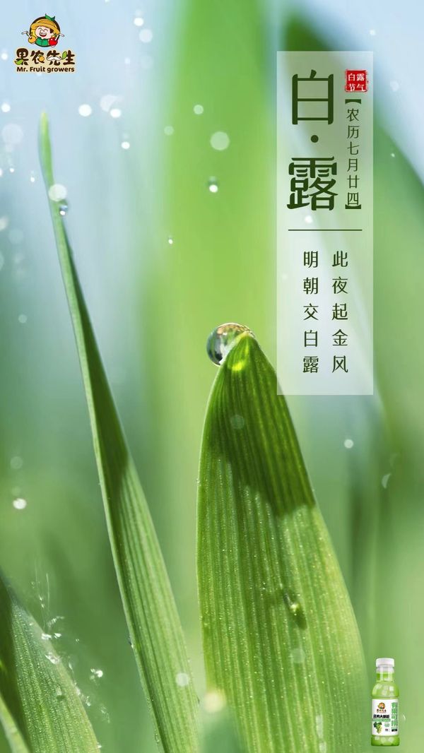 圖片3