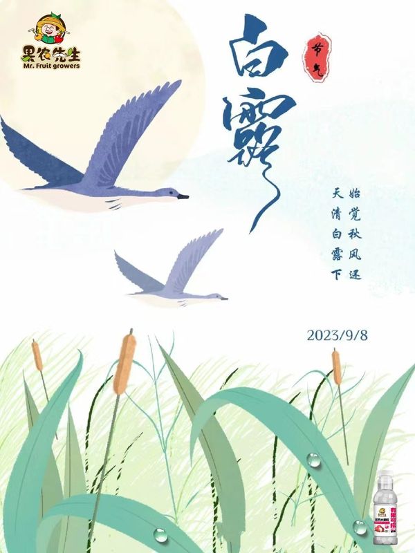 圖片4
