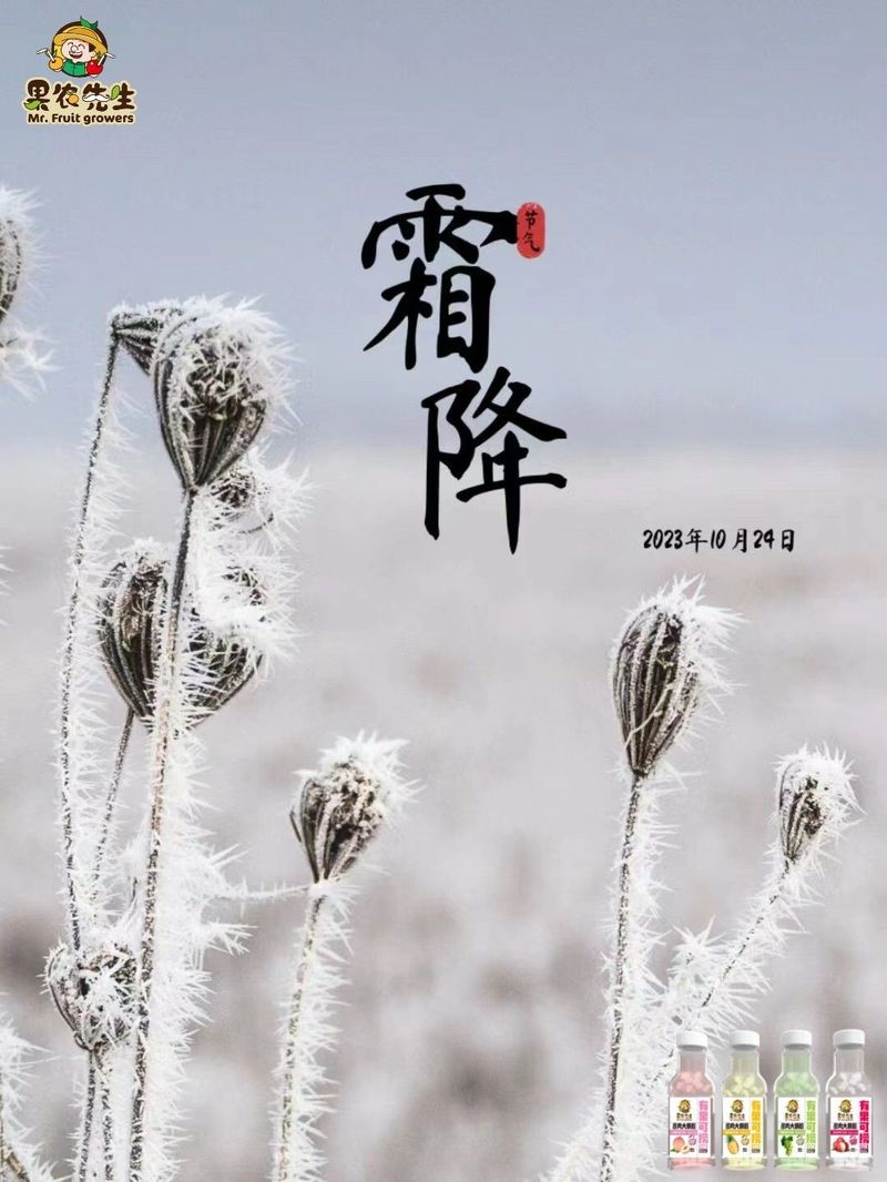 圖片2