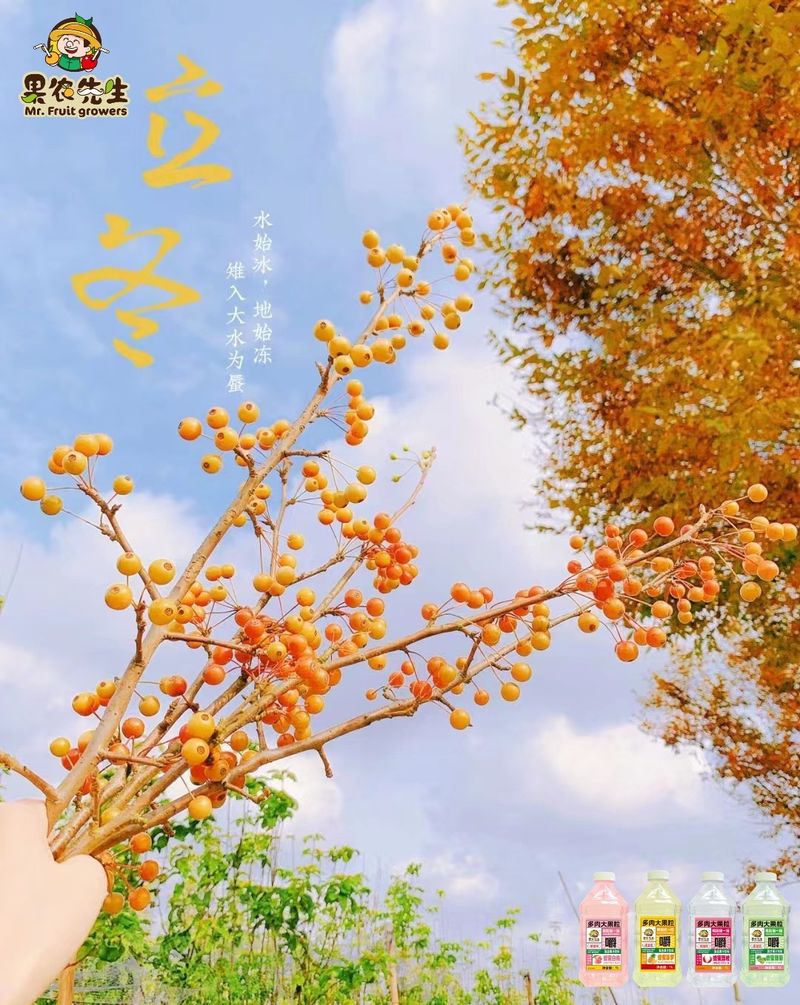 圖片2